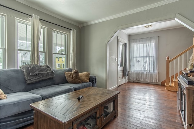 living room featuring hardwood / wood-style floors and crown molding