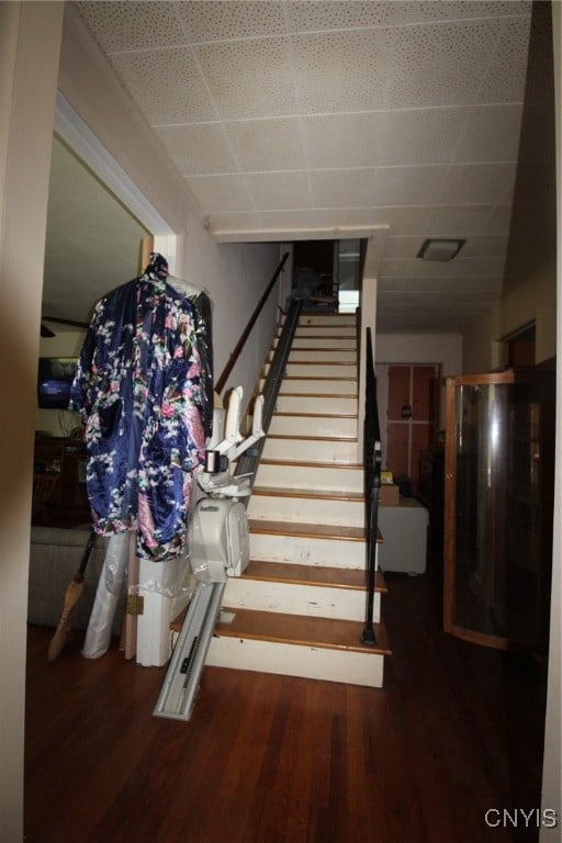 staircase with a paneled ceiling and hardwood / wood-style floors