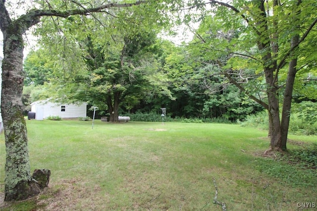 view of yard with an outbuilding