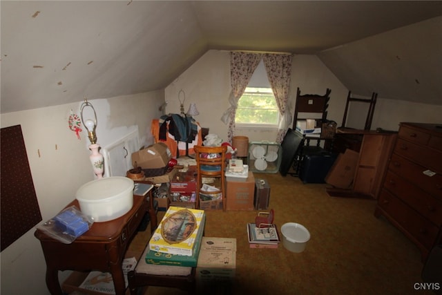 additional living space with carpet and lofted ceiling