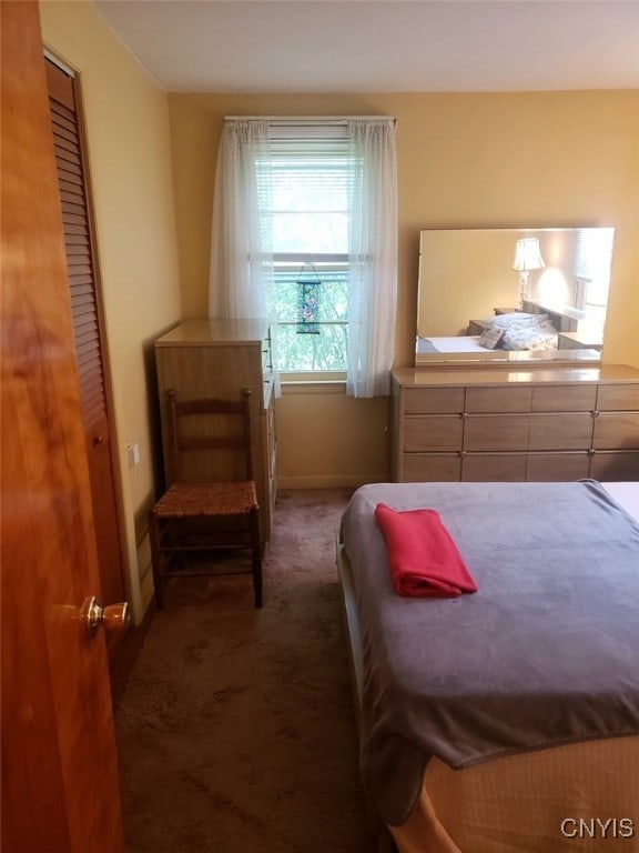 carpeted bedroom featuring a closet