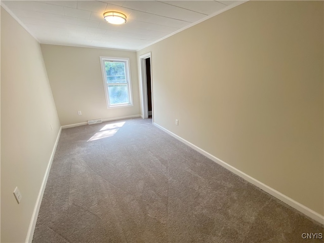 carpeted empty room with crown molding