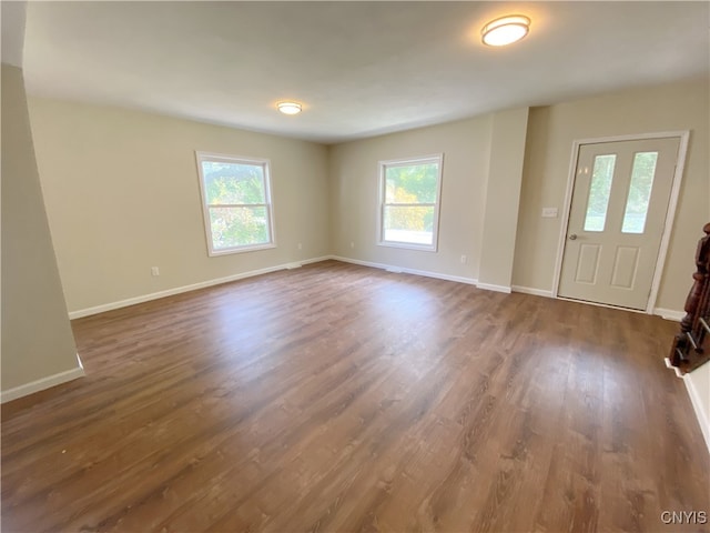 foyer entrance with dark hardwood / wood-style floors and plenty of natural light