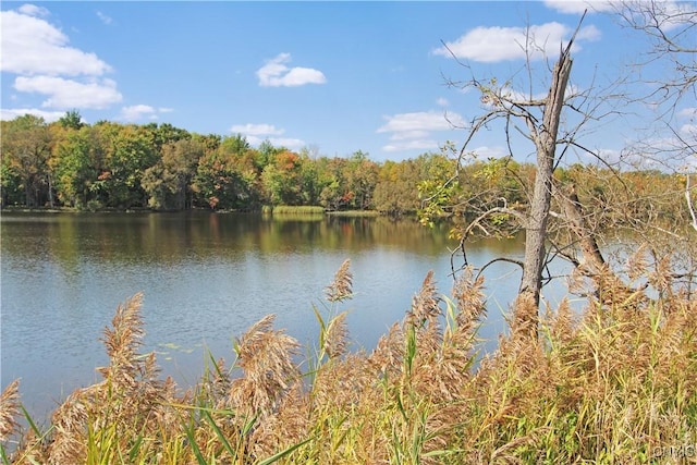 water view with a wooded view