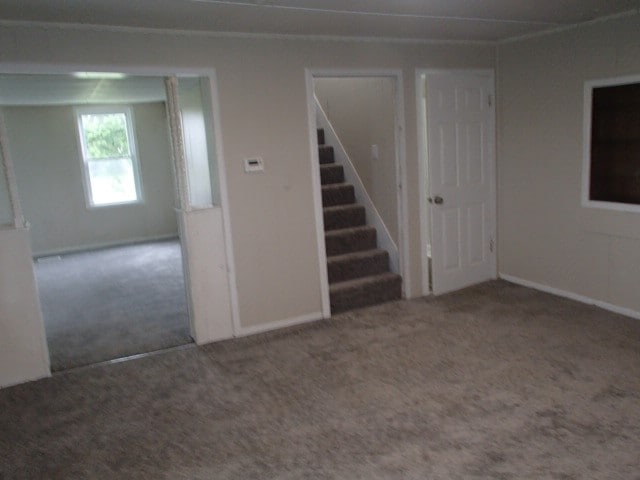 unfurnished room featuring carpet floors