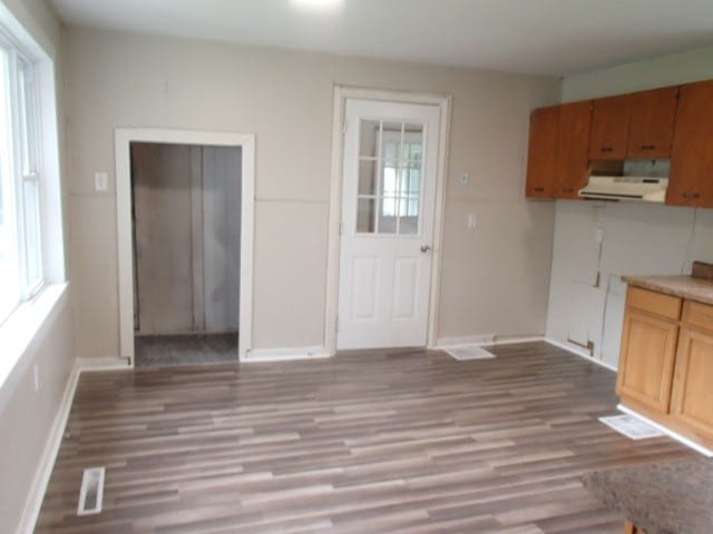 kitchen featuring light wood-type flooring and range hood