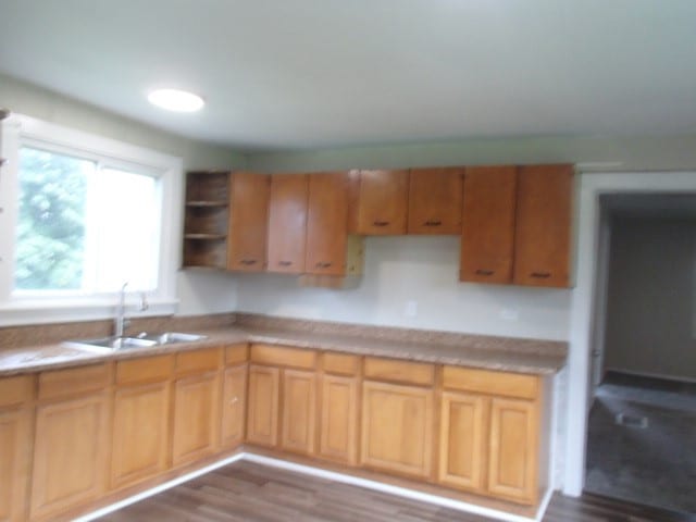 kitchen featuring sink and dark wood-type flooring