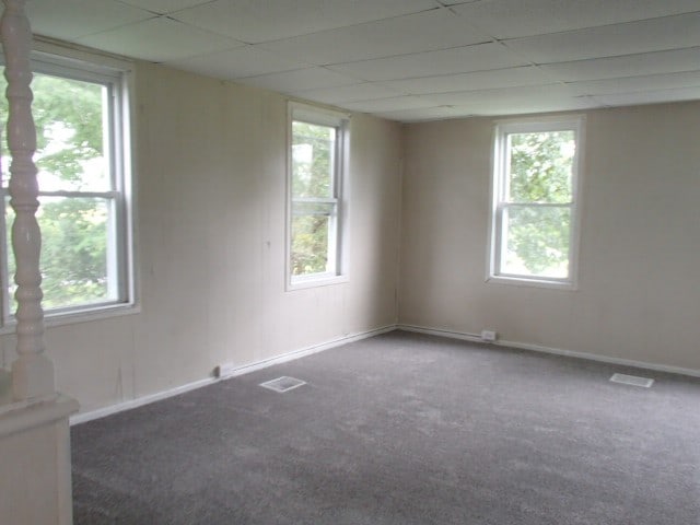 unfurnished room with carpet flooring and plenty of natural light