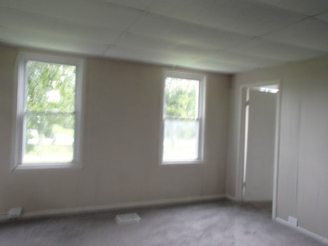 carpeted empty room featuring a drop ceiling and a wealth of natural light