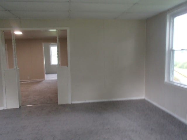 carpeted empty room featuring a drop ceiling