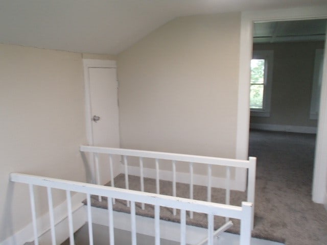 interior space featuring carpet and vaulted ceiling