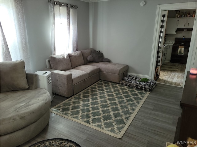 living room featuring dark hardwood / wood-style floors