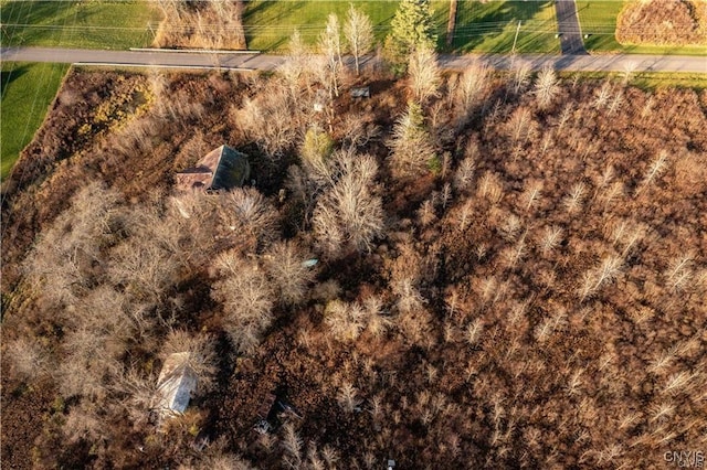 8790 Van Hoesen Rd, Clay, NY 13041 - photo 3
