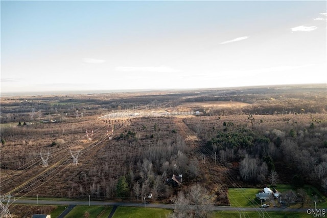 8790 Van Hoesen Rd, Clay, NY 13041 - photo 4