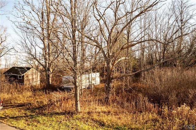 8790 Van Hoesen Rd, Clay, NY 13041 - photo 8