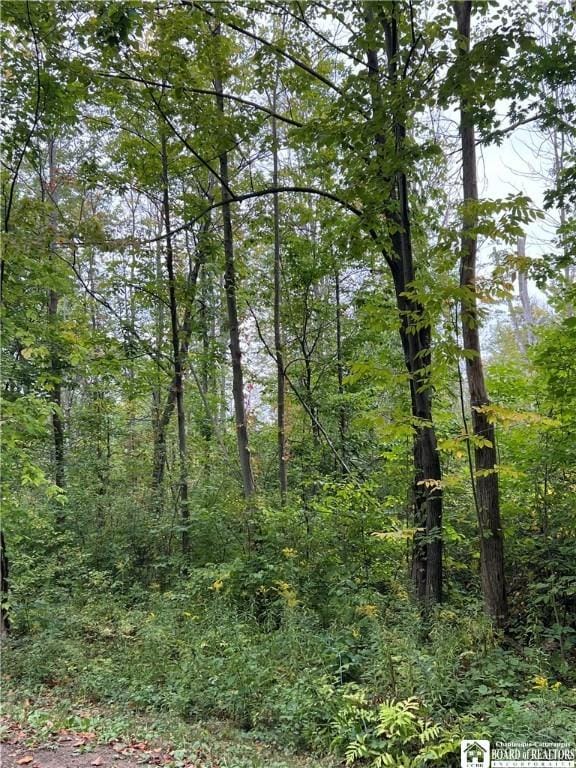 0 Tastor Ln, Portland, NY 14063 - photo 1