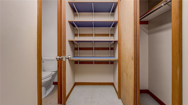 walk in closet with carpet floors