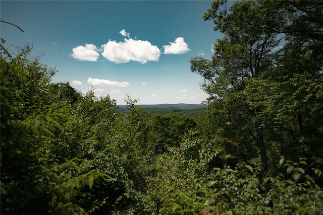 view of mountain feature