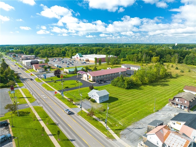 drone / aerial view