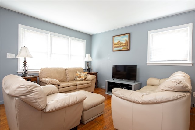 living room featuring hardwood / wood-style flooring