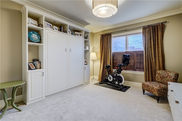 workout area featuring built in shelves, light colored carpet, and ornamental molding