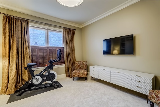 living area featuring carpet floors and crown molding