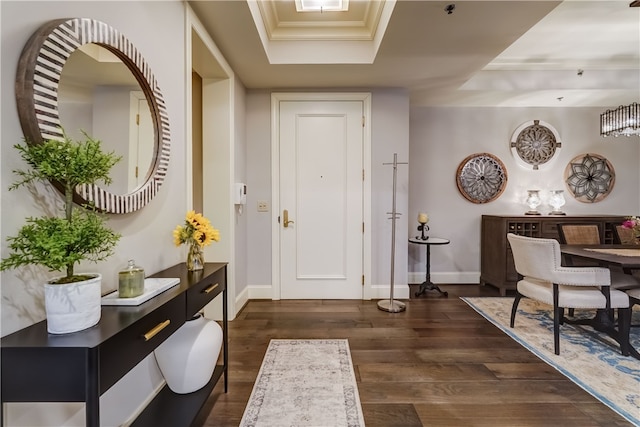 entrance foyer featuring a raised ceiling and dark hardwood / wood-style flooring