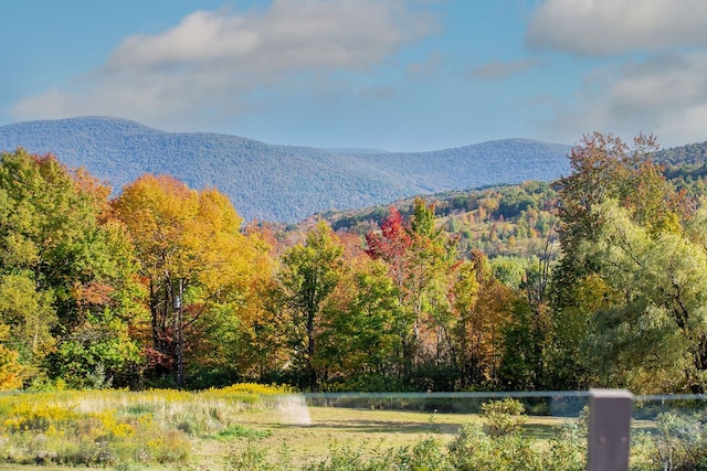 property view of mountains