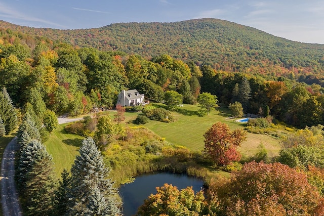 birds eye view of property featuring a water and mountain view