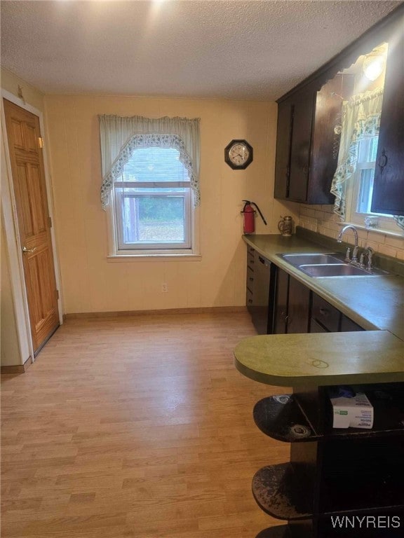 kitchen featuring a textured ceiling, light hardwood / wood-style floors, dark brown cabinets, and sink