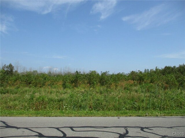 01 Hitchcock Point Rd, Sullivan, NY 13037 - photo 7