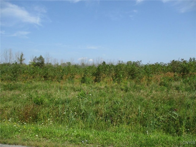 01 Hitchcock Point Rd, Sullivan, NY 13037 - photo 8