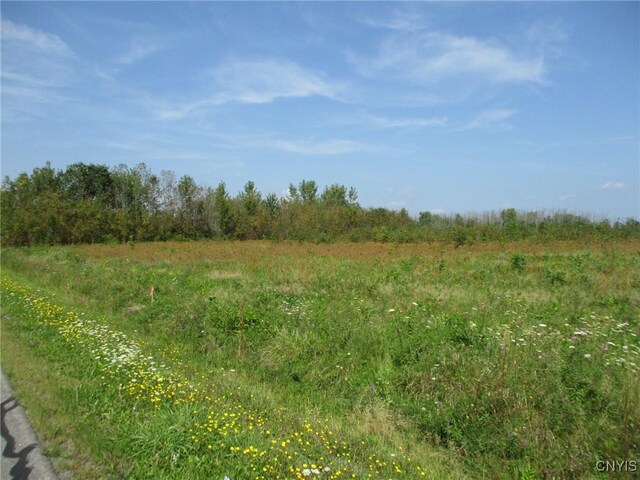 01 Hitchcock Point Rd, Sullivan, NY 13037 - photo 10