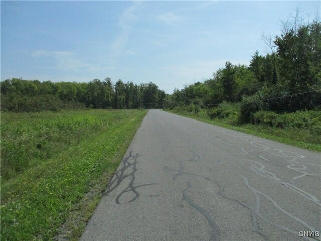 01 Hitchcock Point Rd, Sullivan, NY 13037 - photo 11