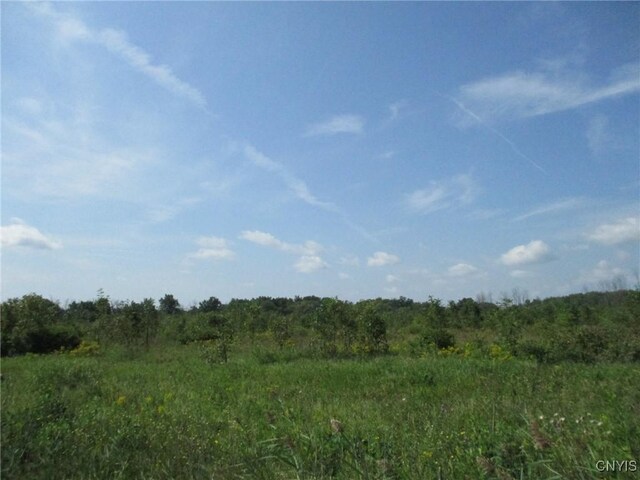 01 Hitchcock Point Rd, Sullivan, NY 13037 - photo 13
