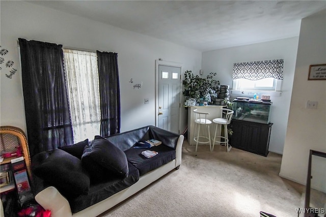 view of carpeted living room