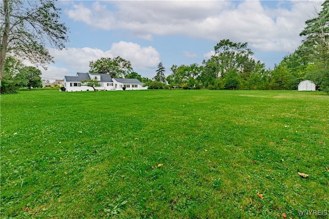 view of yard featuring a shed