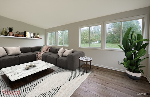 living room featuring hardwood / wood-style floors and plenty of natural light