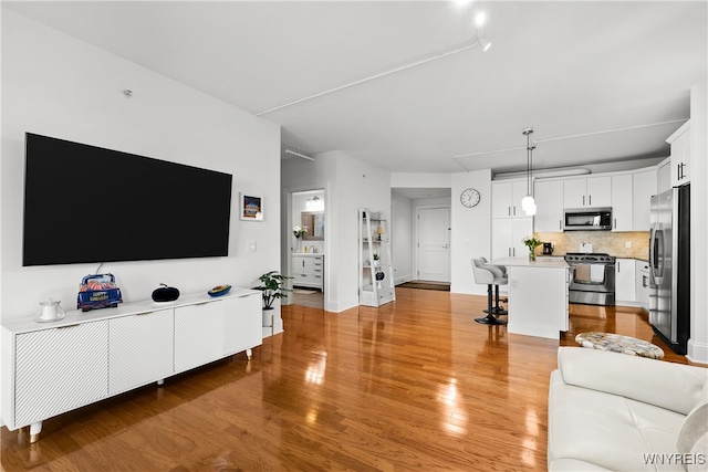 living room with light wood-type flooring