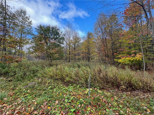 0 Town Line Rd, Butternuts NY, 13776 land for sale