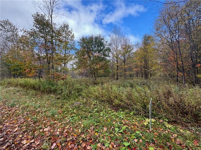 0 Town Line Rd, Butternuts, NY 13776