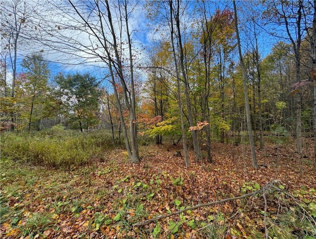 0 Town Line Rd, Butternuts, NY 13776