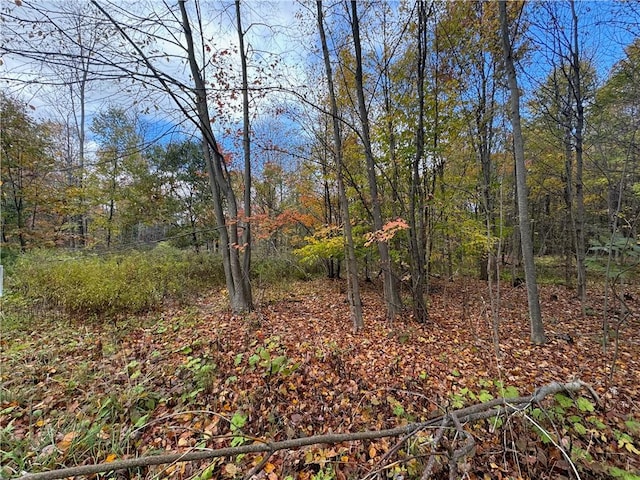 0 Town Line Rd, Butternuts, NY 13776