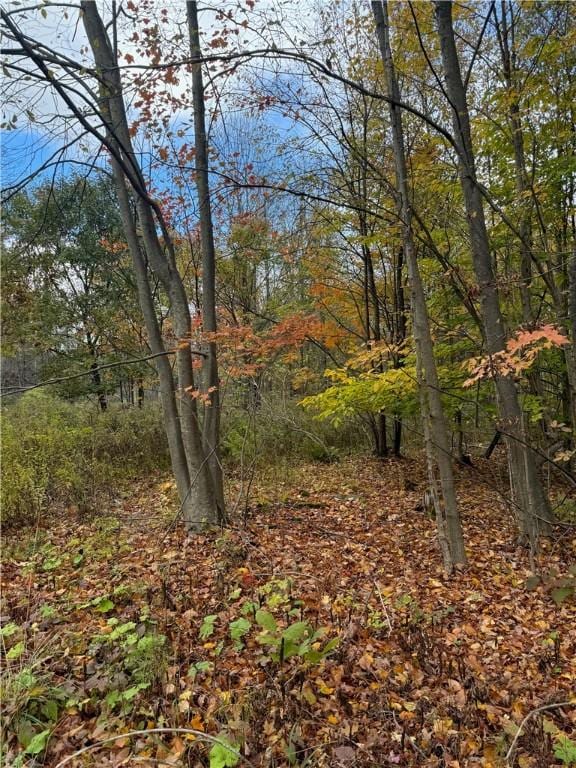 0 Town Line Rd, Butternuts, NY 13776