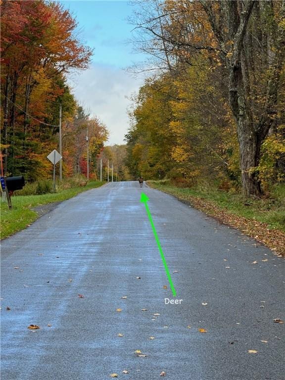 0 Town Line Rd, Butternuts, NY 13776