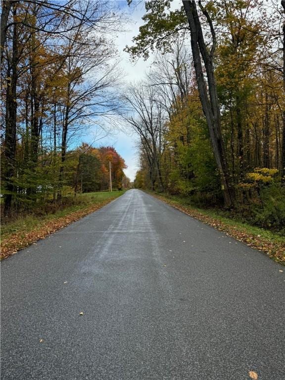 0 Town Line Rd, Butternuts, NY 13776