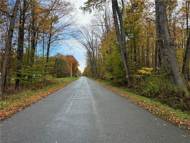 0 Town Line Rd, Butternuts, NY 13776