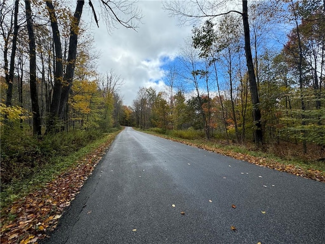 0 Town Line Rd, Butternuts, NY 13776
