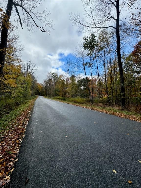 0 Town Line Rd, Butternuts, NY 13776