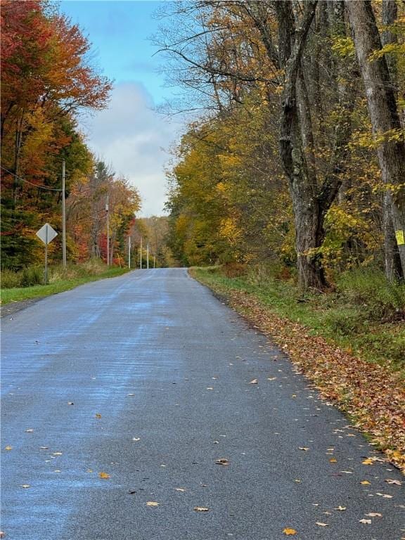 0 Town Line Rd, Butternuts, NY 13776